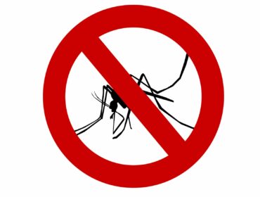 Prirodna sredstva protiv komaraca