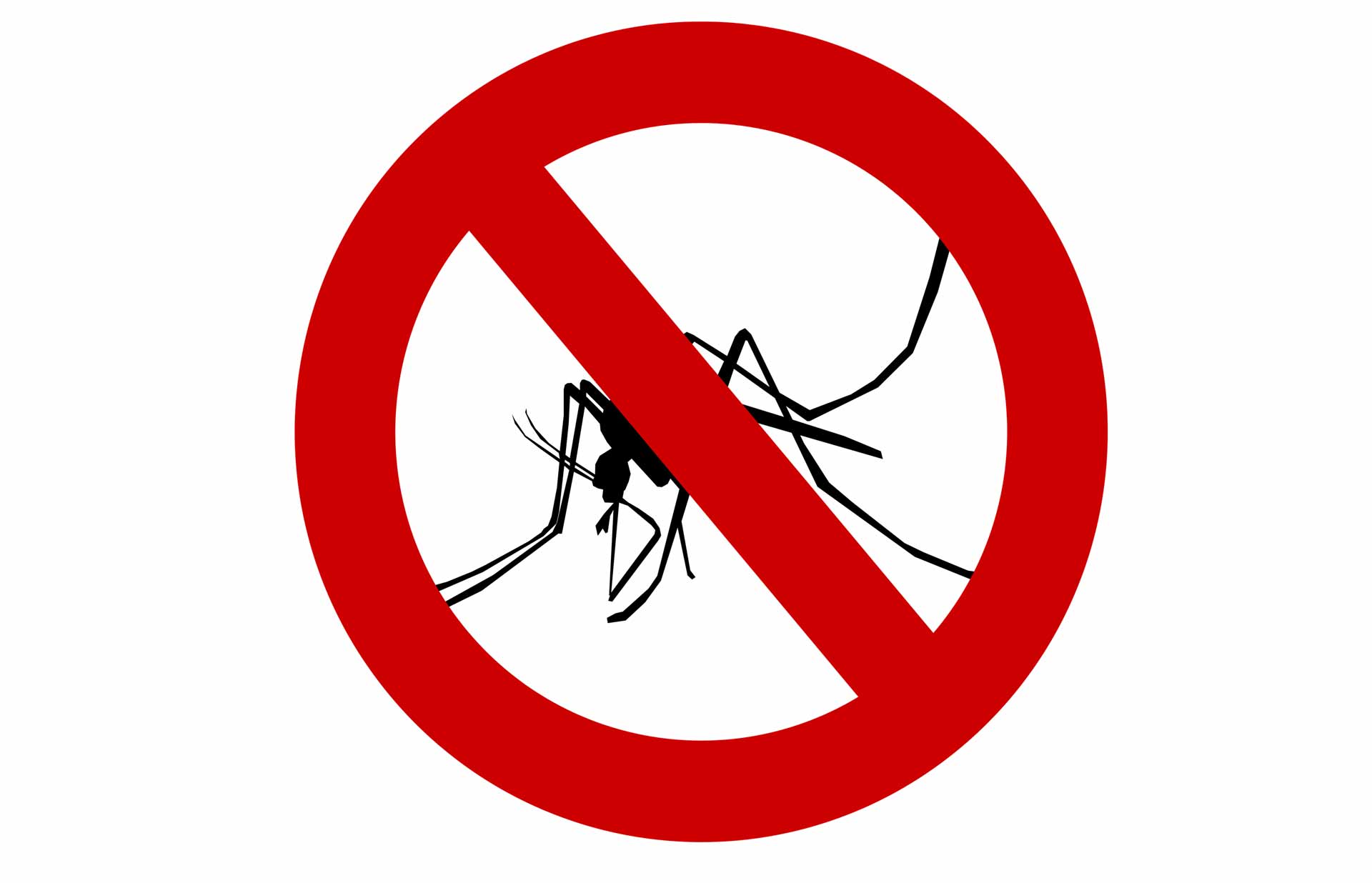 Prirodna sredstva protiv komaraca