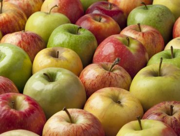 korisna svojstva jabuke