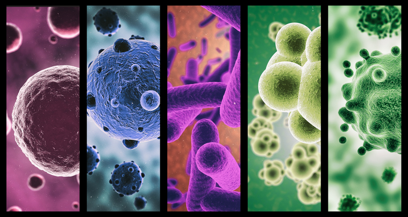 Da li znate razliku između virusa i bakterija i na koji način utiču na organizam?